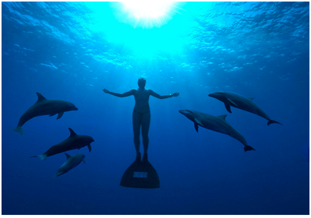 the cove - documental