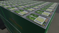 comparativa entre la maqueta a escala 1/10 y la maqueta digital en realidad virtual